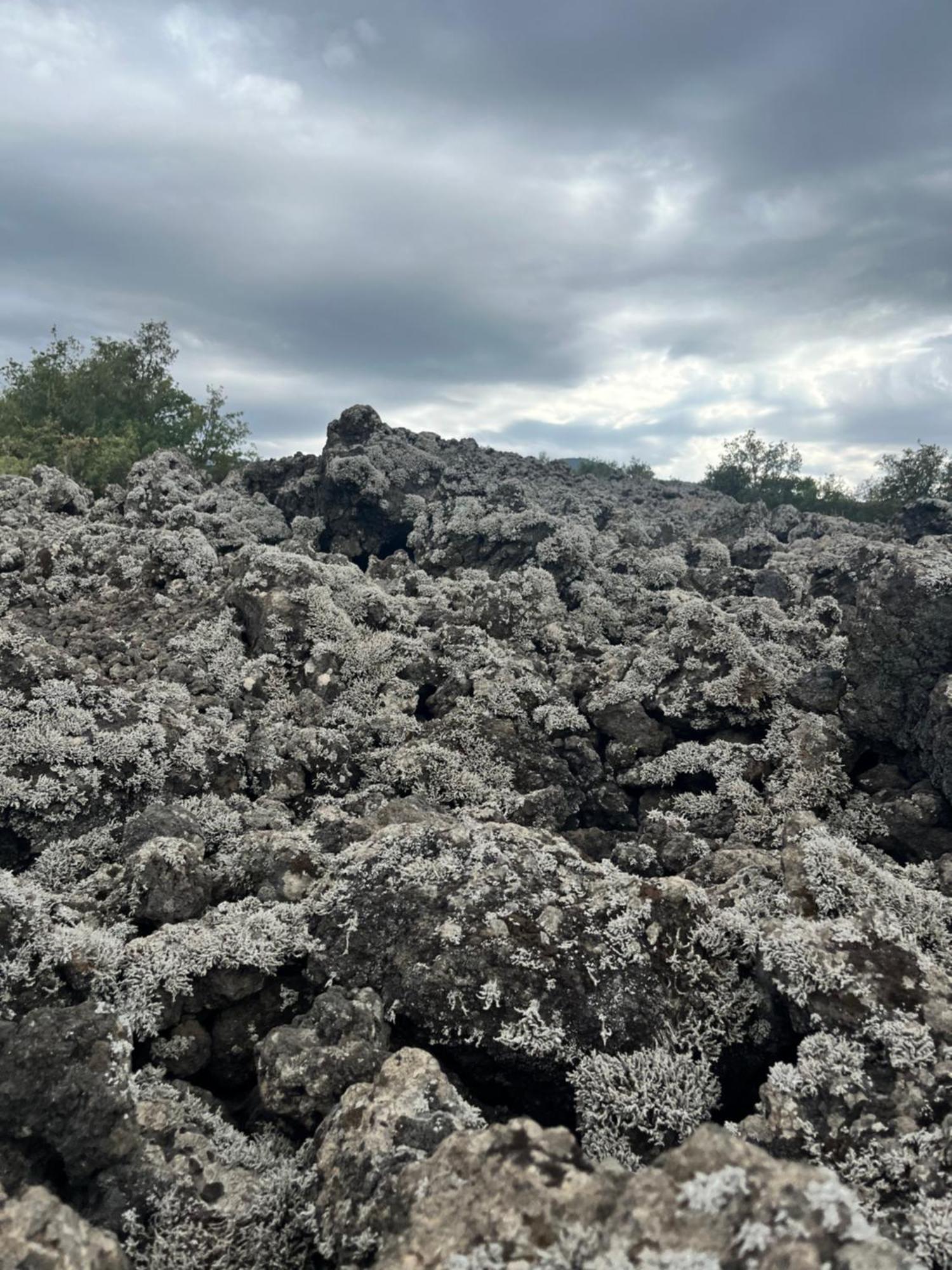 Poggio Roseto Villa Randazzo Kültér fotó