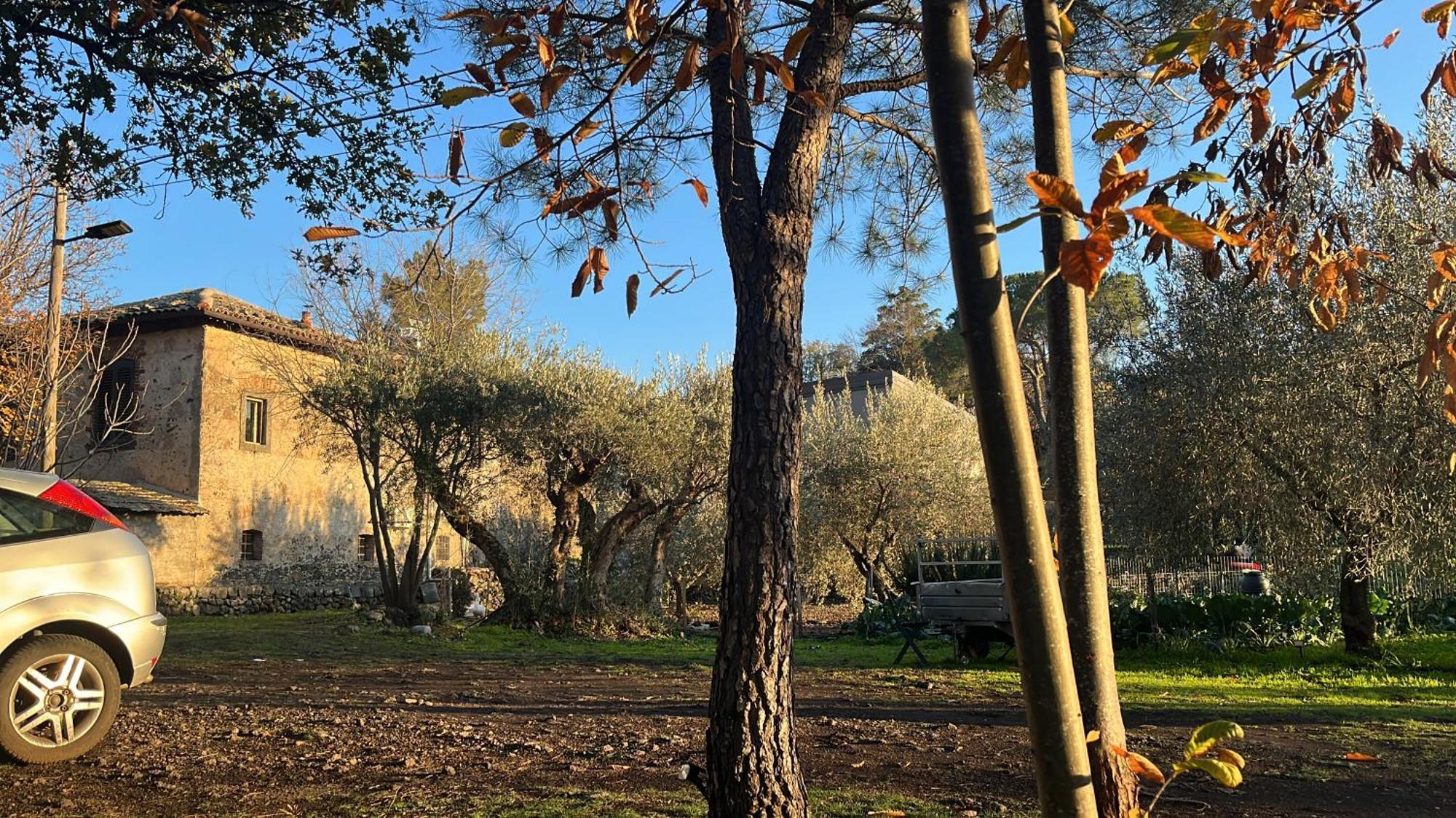 Poggio Roseto Villa Randazzo Kültér fotó
