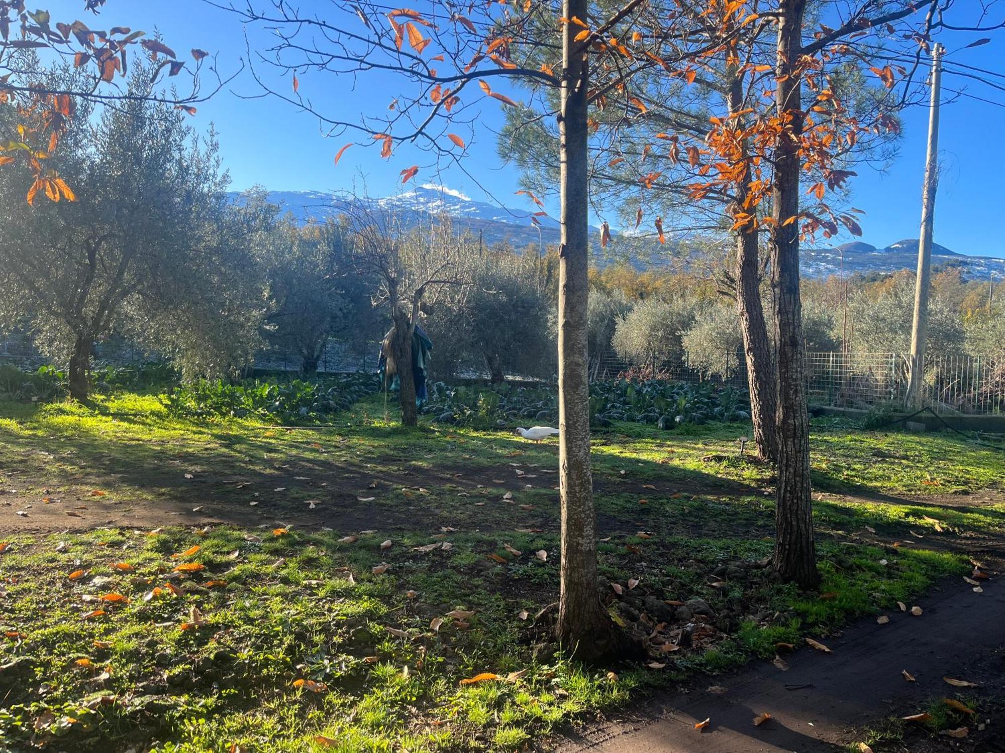Poggio Roseto Villa Randazzo Kültér fotó