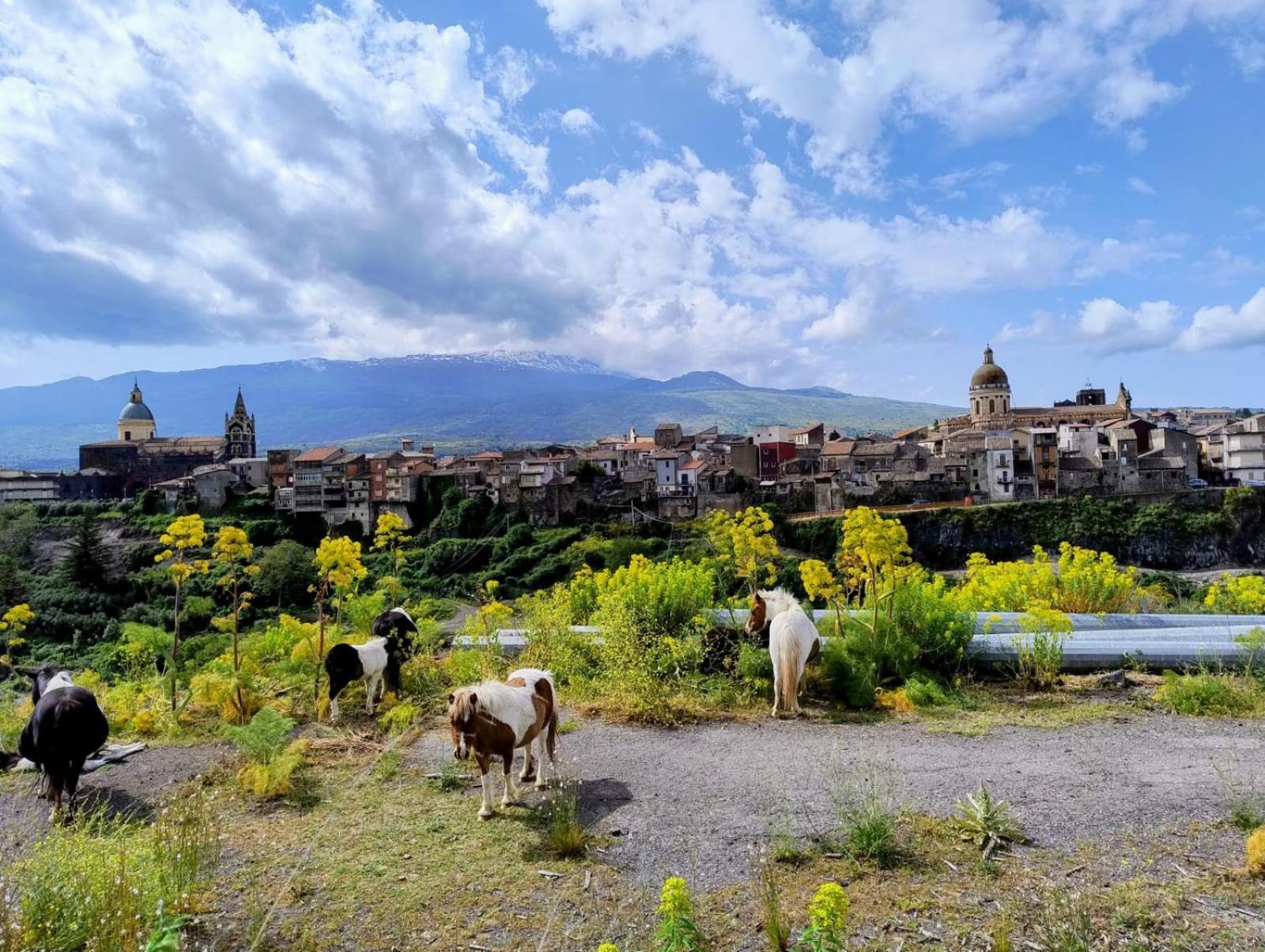 Poggio Roseto Villa Randazzo Kültér fotó